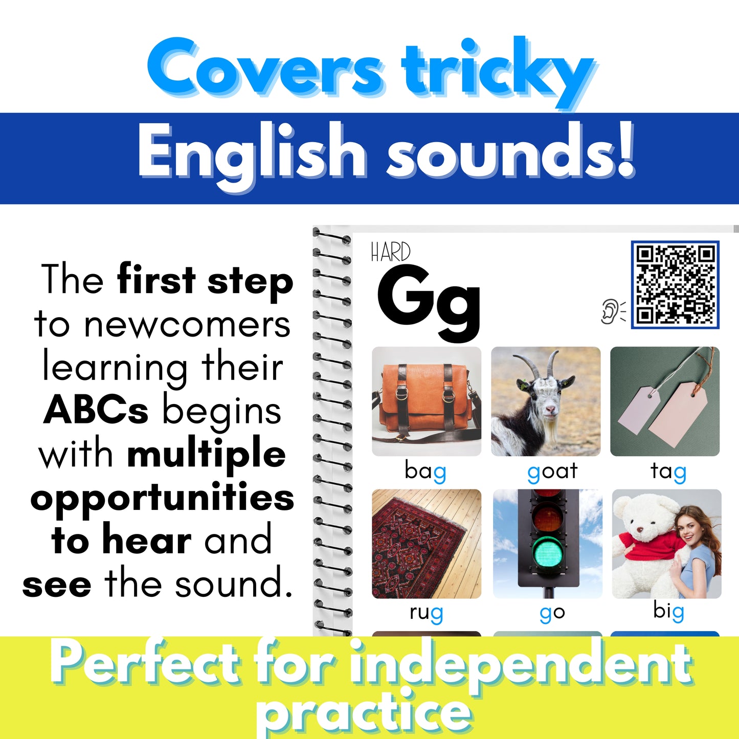Multilingual Picture Dictionary Bundle: Grades K-12